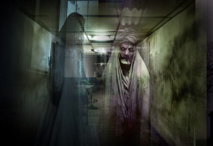 Ruang Tulip_Ilustrasi